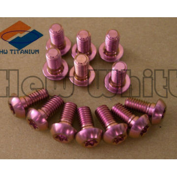 Tornillo de titanio anodizado GR5 púrpura / azul / rosa / dorado